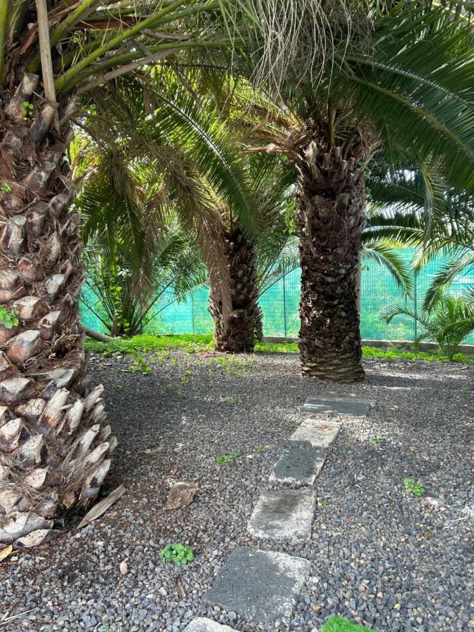 Casa Beatriz Villa La Orotava Eksteriør bilde